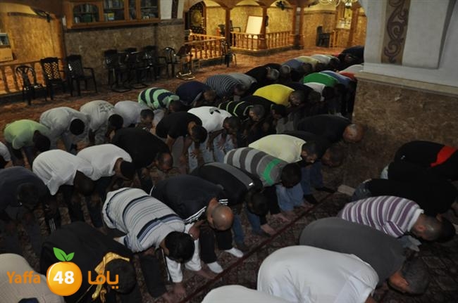 tarawee7 kabeer j (3).JPG